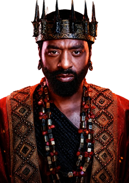 Children of Blood and Bone King Saran Embroidered Cloak - Image 3